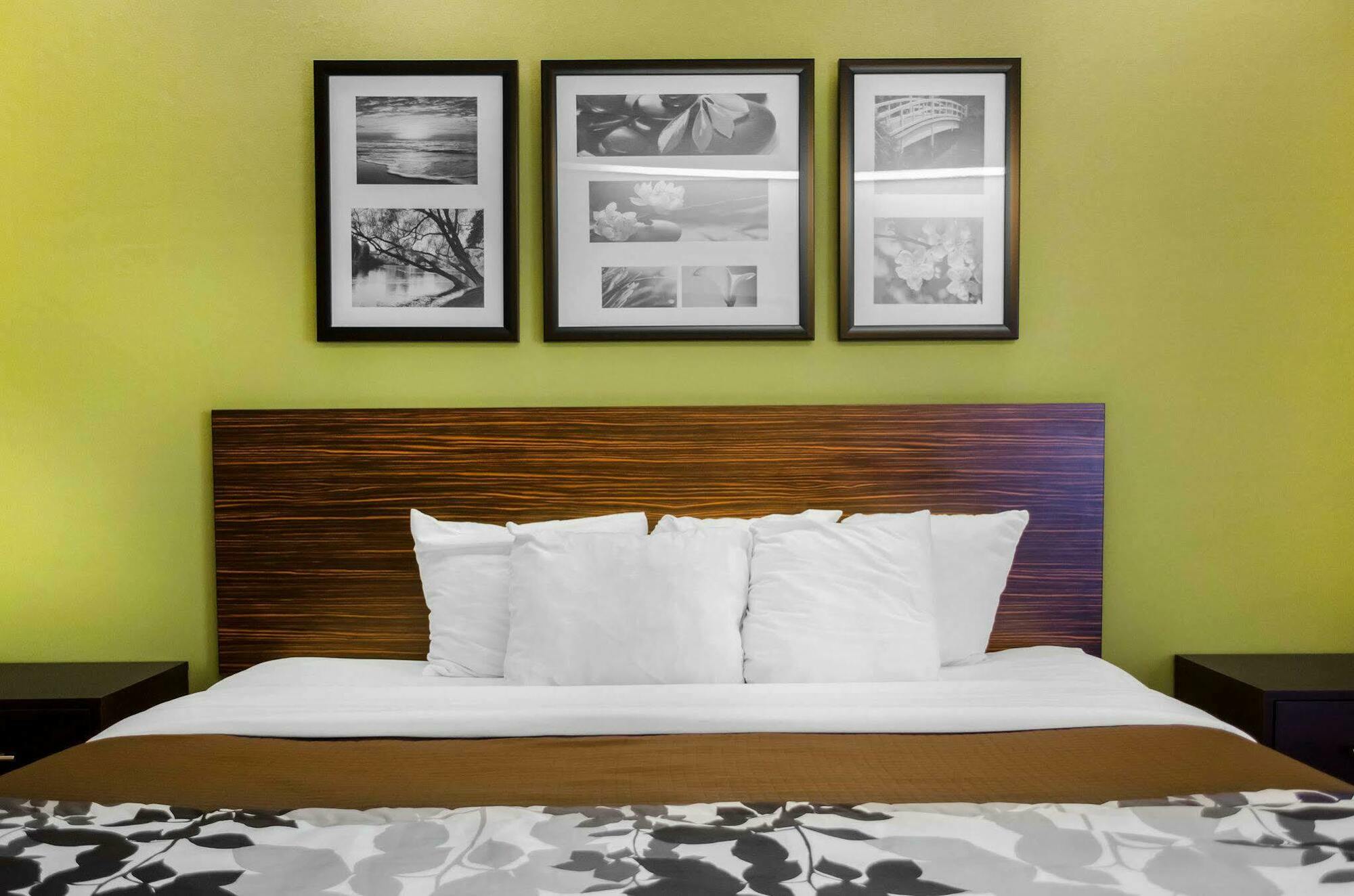 Sleep Inn Carlisle South מראה חיצוני תמונה